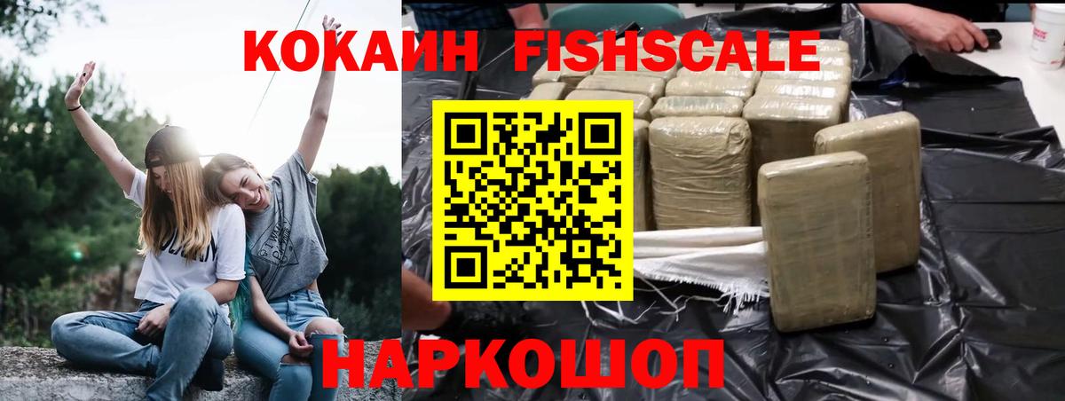 КОКАИН Эквадор Партизанск